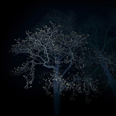 Tomáš Jakubec - Nocturno 003