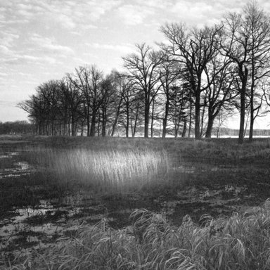 Zdeněk Helfert - 48°58´60´´N / 14°52´50´´E